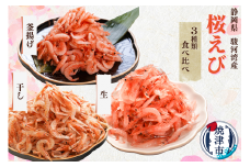 b100-049 【定期便3回お届け】焼津特選桜えび3種類食べ比べ