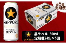 b10-050　定期便 5回 ビール 黒ラベル サッポロ 500ml