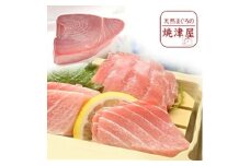 b150-026　【定期便】 南鮪 ミナミマグロ 大トロ 中トロ ブロック×3回