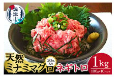 a10-768　天然 ミナミ マグロ  30％入り ネギトロ 100g×10