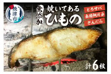 a14-020　【自家製 無添加】焼いてある ひもの 3種 6枚