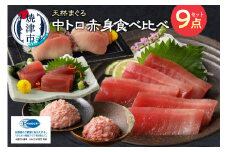 a20-365　マグロ 中トロ 赤身 ねぎとろ S6