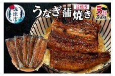 a38-006　うなぎ 蒲焼き 長焼き 5尾 約600g