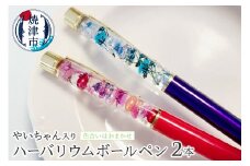 a10-823　ハーバリウム ボールペン やいちゃん