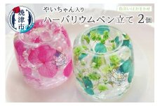 a10-826　ハーバリウム ペン立て やいちゃん 2つ セット