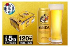 T0074-2305　【定期便 5回】ビール エビス サッポロ 500ml