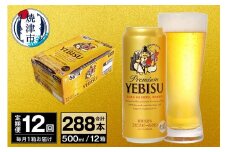 T0074-2312　【定期便 12回】ビール エビス サッポロ 500ml