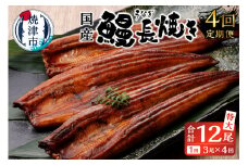 b100-058　【定期便4回】 鰻 長焼き