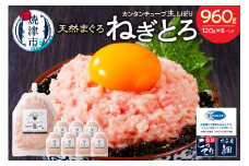 a11-072　カンタンチューブ ねぎとろ 生 しぼり 約120g 8P SF4