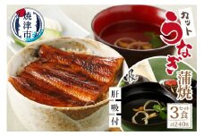 a20-378　【静岡自鰻】 静岡県産 うなぎ 蒲焼 肝吸付（カット）