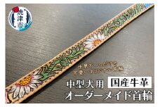 a61-001　中型 犬 の 首輪