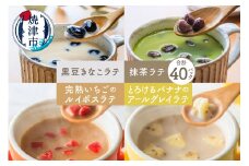 a15-539　FORIVORA 丸ごとラテシリーズ全種類セット 40P