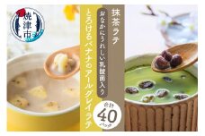 a15-541　FORIVORA おなかにうれしい乳酸菌入りラテセット 40P