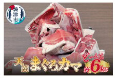 a10-907　大きな 天然 まぐろ カマ 業務用 約6kg BBQにも
