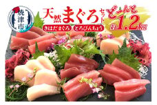 a10-908　【10月以降寄附金額変更予定10,000円→11,000円】天然 まぐろ セット（とろびんちょう・きはだまぐろ） 約1.2kg