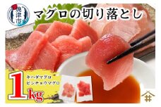 a10-924　天然 鮪 焼津 まぐろ 赤身 刺身 切り落とし キハダ マグロ ビンチョウ マグロ 計1kg（100g×10パック） 冷凍 小分け 焼津