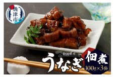 a10-930　うなぎ佃煮100g×3パック