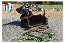 b130-001　首輪と肩掛けリードセット 小型犬 猫用 ハンドメイド