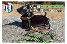 b150-030　首輪と肩掛けリードセット 中型犬用 ハンドメイド