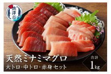 a35-012　キボシ水産 天然 鮪 南鮪 大トロ 中トロ 赤身食べ比べ 約1kg