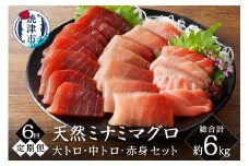 b200-035　【定期便6回】キボシ水産 天然 南鮪 大トロ 中トロ 赤身食べ比べ 約1kg×6回