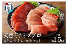 a50-129　キボシ水産 天然 鮪 南鮪 大トロ 中トロ 赤身食べ比べ 約1.5kg