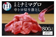a23-021　キボシ水産 天然 南鮪 100％ 中トロ 切り落とし 800g以上
