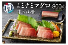 a28-011　キボシ水産 天然 鮪 南鮪 中トロ 柵 刺身 800g以上