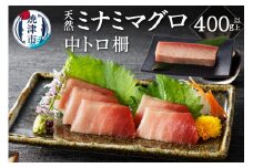 a15-565　キボシ水産 天然 南鮪 中トロ 柵 刺身 400g以上