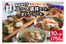 a10-981　まぐろ＆かじきの甘辛ユッケ漬丼の具 セット10P入