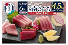b150-032　天然南まぐろとたたき身 6回隔月でお届け【定期便】