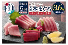 b200-037　【定期便】 天然本まぐろセット 5回隔月で届け