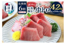 a60-021　訳あり【定期便 6回隔月でお届け】南鮪・刺身・中トロ(約700g)【定期便】