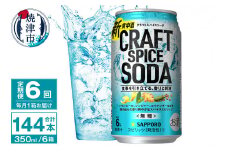 T0077-1306　【定期便6回】サッポロ クラフトスパイスソーダ 350ml×24本