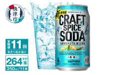 T0077-1311　【定期便11回】サッポロ クラフトスパイスソーダ 350ml×24本