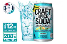 T0077-1312　【定期便12回】サッポロ クラフトスパイスソーダ 350ml×24本