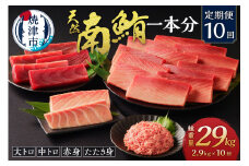 m10-001　【定期便10回】南鮪 1本 総重量約29kg（各月約2.9kg）【定期便】