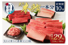 m10-002　【定期便10回】本鮪 1本 総重量約29kg（各月約2.9kg）【定期便】
