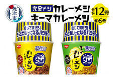 a15-591　完全メシ カレーメシとキーマカレーメシ セット 即席 インスタント ご飯  焼津