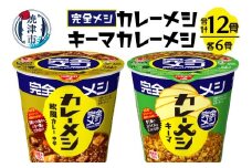 a15-591　完全メシ カレーメシとキーマカレーメシ セット 即席 インスタント ご飯  焼津
