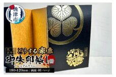 a13-067　どうする家康 御朱印帳 プレミアムライン 黒