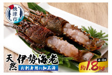 b100-073　伊勢海老 お造りセットC 約1.8kg（お刺身用に加工済）