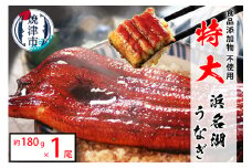 a10-1044　食品添加物不使用の 浜名湖うなぎ【特大】蒲焼1尾