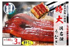 a30-283　食品添加物不使用の 浜名湖うなぎ【特大】蒲焼3尾