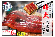 a60-022　食品添加物不使用の 浜名湖うなぎ【特大】蒲焼6尾