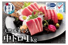 a23-028　マグロ 中トロ 訳あり 刺身 冷凍 炙り 寿司 丼 ぶつ切り まぐろ専門店 天然 本まぐろ中トロ 1kg 鮪 まぐろ 冷凍 ブロック 焼津