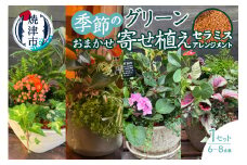 a27-010　セラミス アレンジメント 季節のグリーンの寄せ植え おまかせ