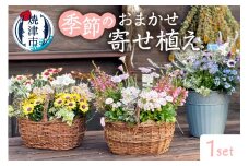 a21-055　季節のおまかせ寄せ植え