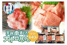 a21-062　天然南まぐろ大トロ尽くし