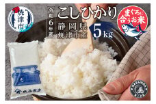 a19-051　令和6年産　マグロによく合うお米 コシヒカリ 白米5kg